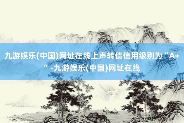 九游娱乐(中国)网址在线上声转债信用级别为“A+”-九游娱乐(中国)网址在线