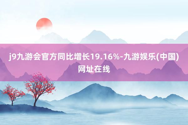 j9九游会官方同比增长19.16%-九游娱乐(中国)网址在线