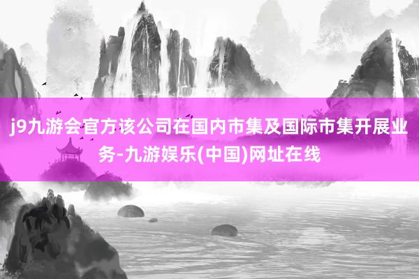 j9九游会官方该公司在国内市集及国际市集开展业务-九游娱乐(中国)网址在线