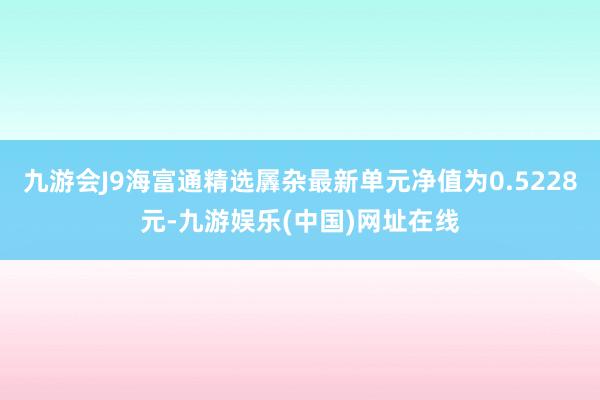 九游会J9海富通精选羼杂最新单元净值为0.5228元-九游娱乐(中国)网址在线