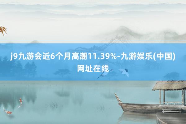 j9九游会近6个月高潮11.39%-九游娱乐(中国)网址在线